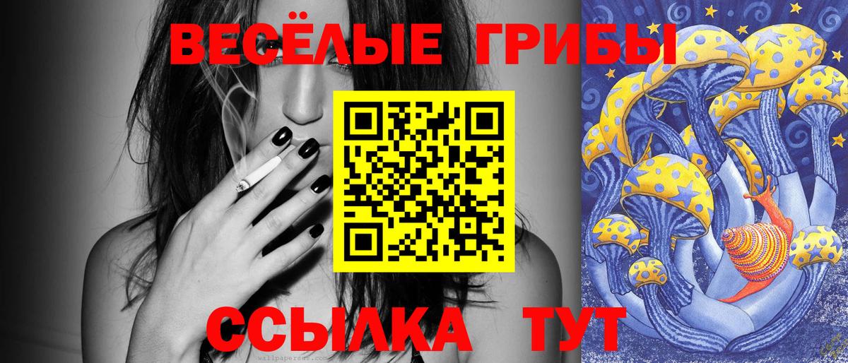 Галлюциногенные грибы ЛСД  купить наркотик  Курск  Вход с VPN  Псилоцибиновые грибы мухоморы 