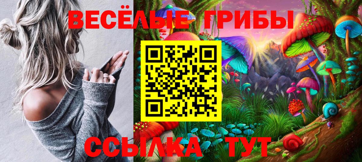 Галлюциногенные грибы ЛСД Курск